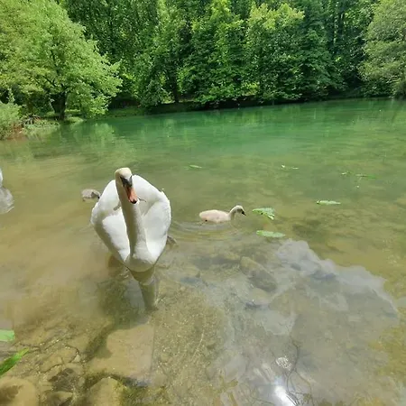 Happy Ii モスタル